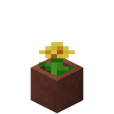 Посаженный одуванчик.png